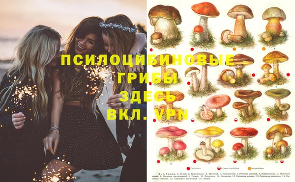 бутират Новодвинск