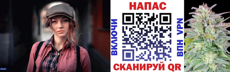 нарко площадка как зайти  купить наркотики сайты  Полтавская  Бошки марихуана Bruce Banner 